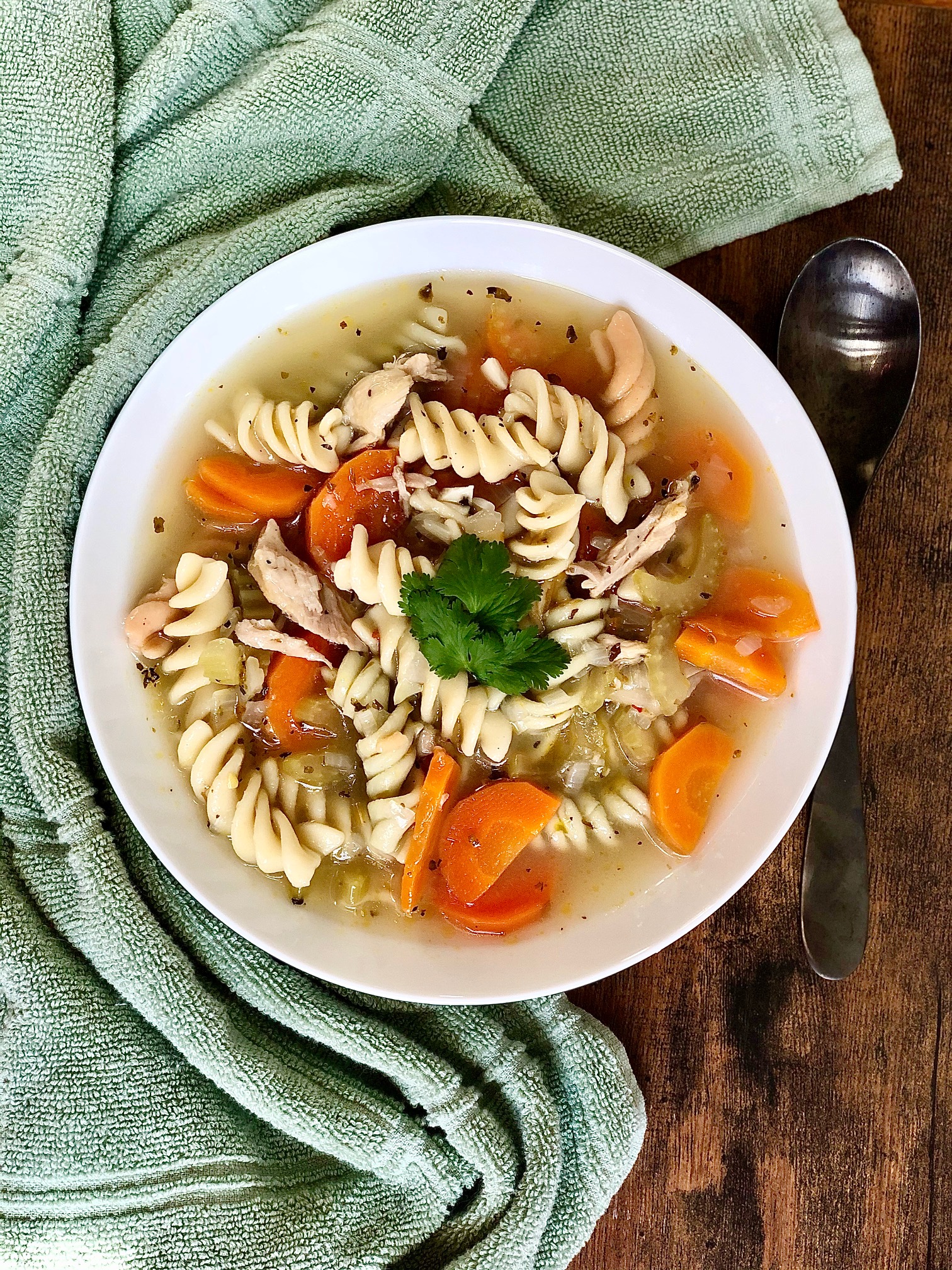 bowl of chicken noodle soup