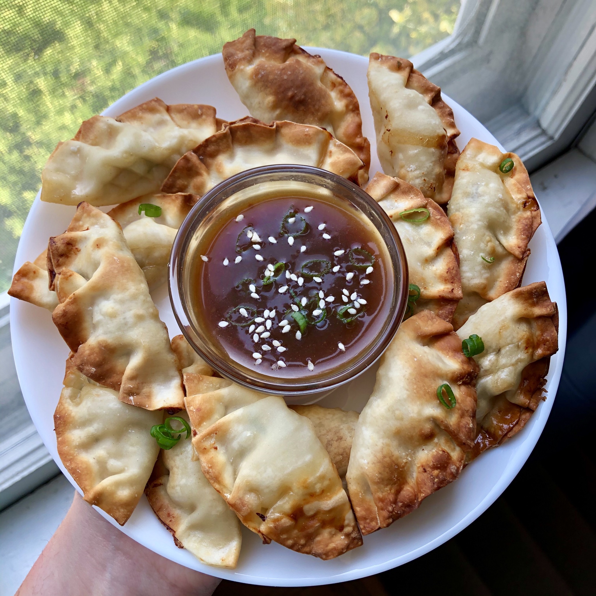 air-fryer-chicken-dumplings-food-by-the-gram