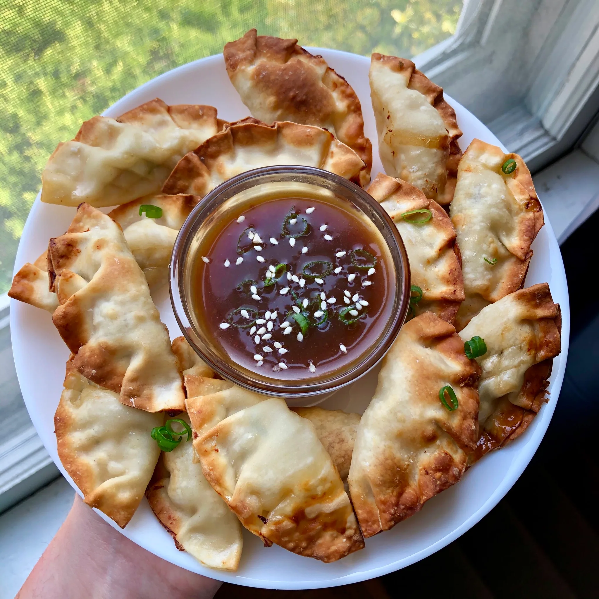 Chicken Dumplings