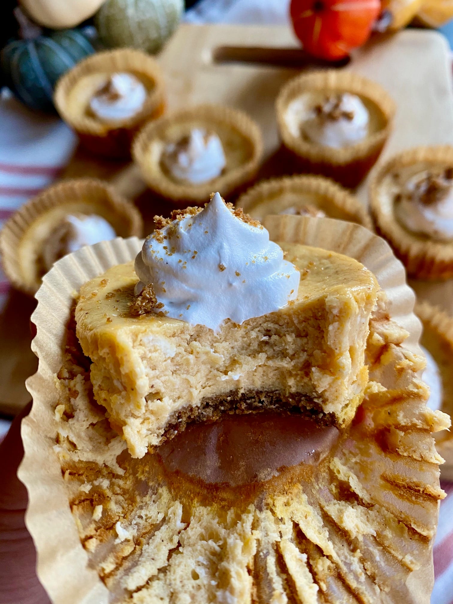 Mini Pumpkin Cheesecakes