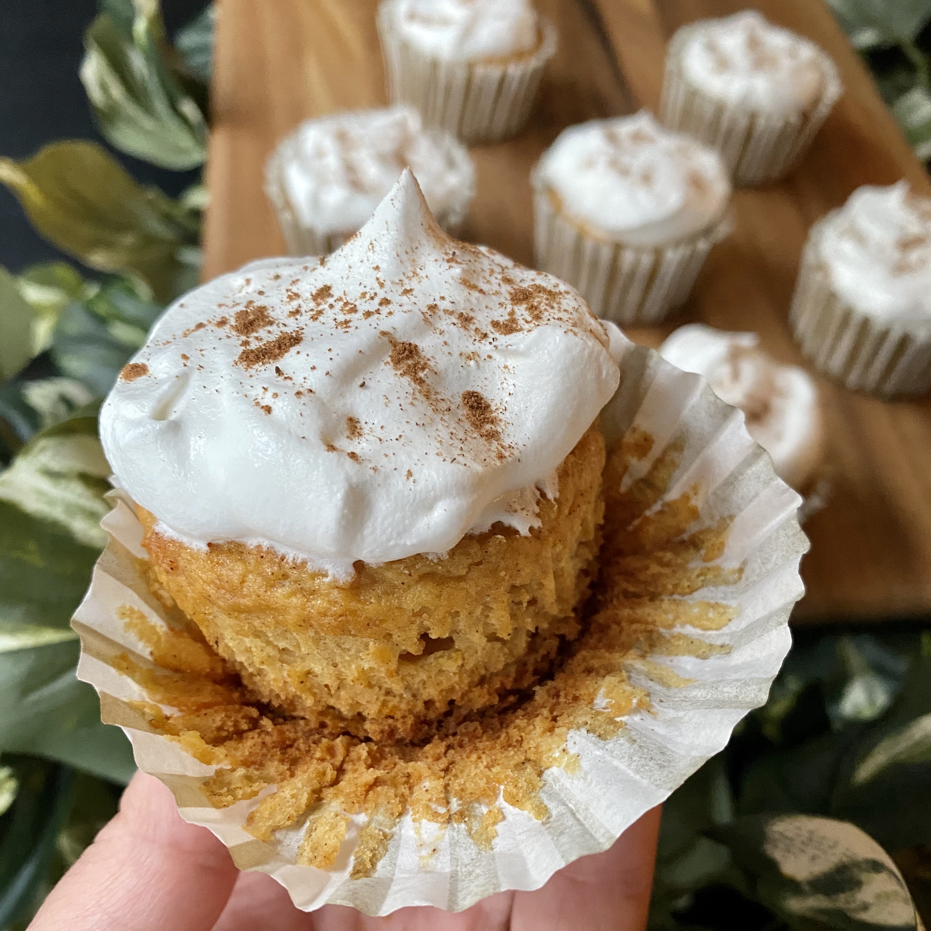 Light pumpkin Spice Cupcakes