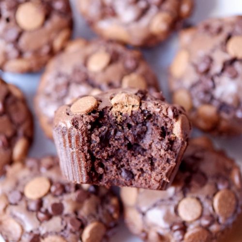 chocolate peanut butter brownies