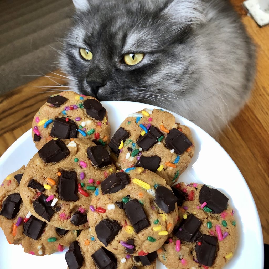 gluten free peanut butter chocolate chunk cookies