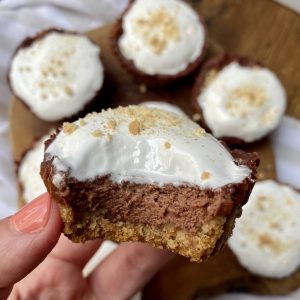 mini smores cheesecakes