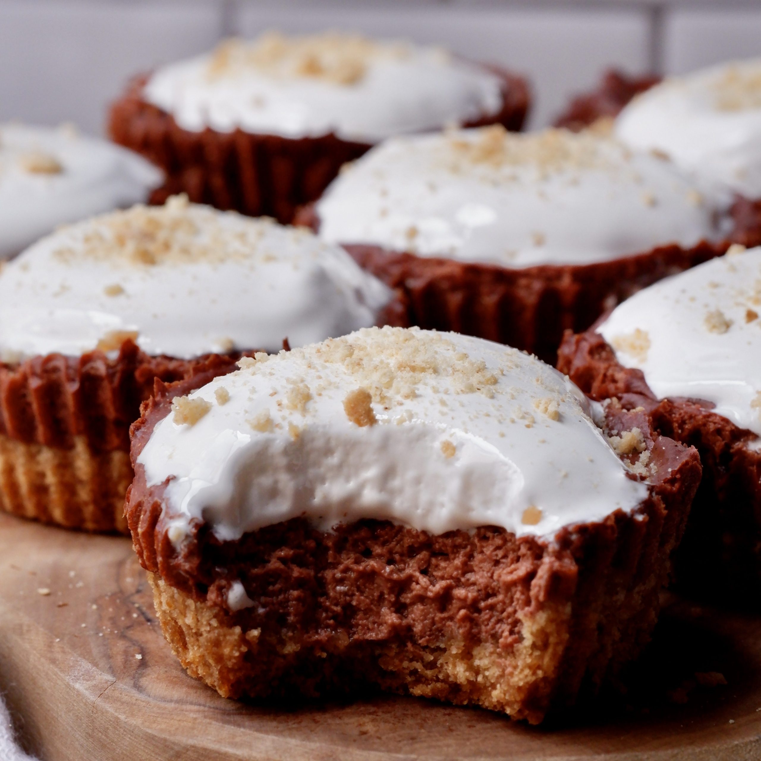 mini smores cheesecakes