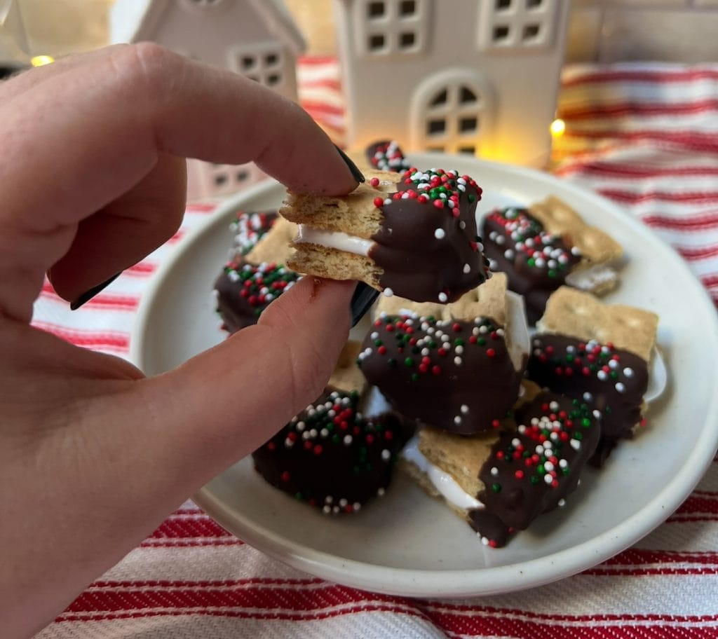 4 Ingredient S'mores Bites
